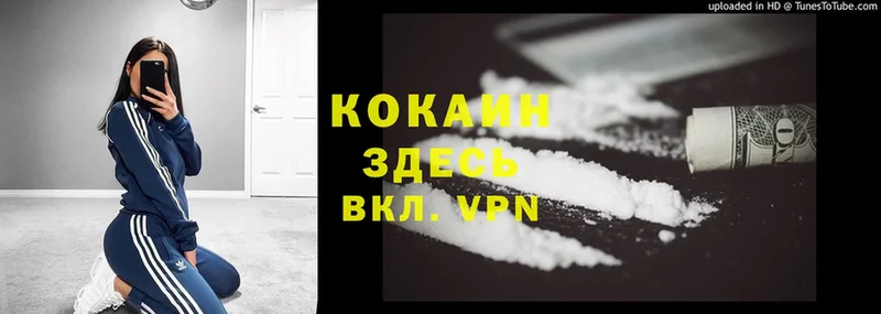 Cocaine Эквадор  гидра ссылка  Переславль-Залесский  где можно купить наркотик 